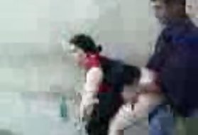 Молодые петушиные раковины открывают отверстия для мам