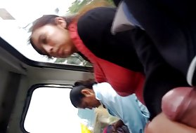 Сука танцует перед межрасовым на полюсе