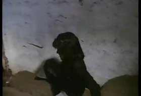 Довольно немецкий любитель играет с ее киской